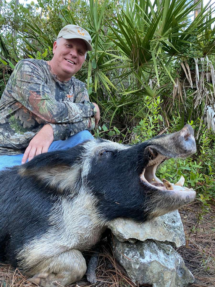 Florida Wild Hog Hunting | Black Tine Outfitters LLC