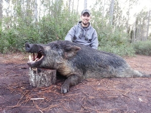 Wild Hog Hunting