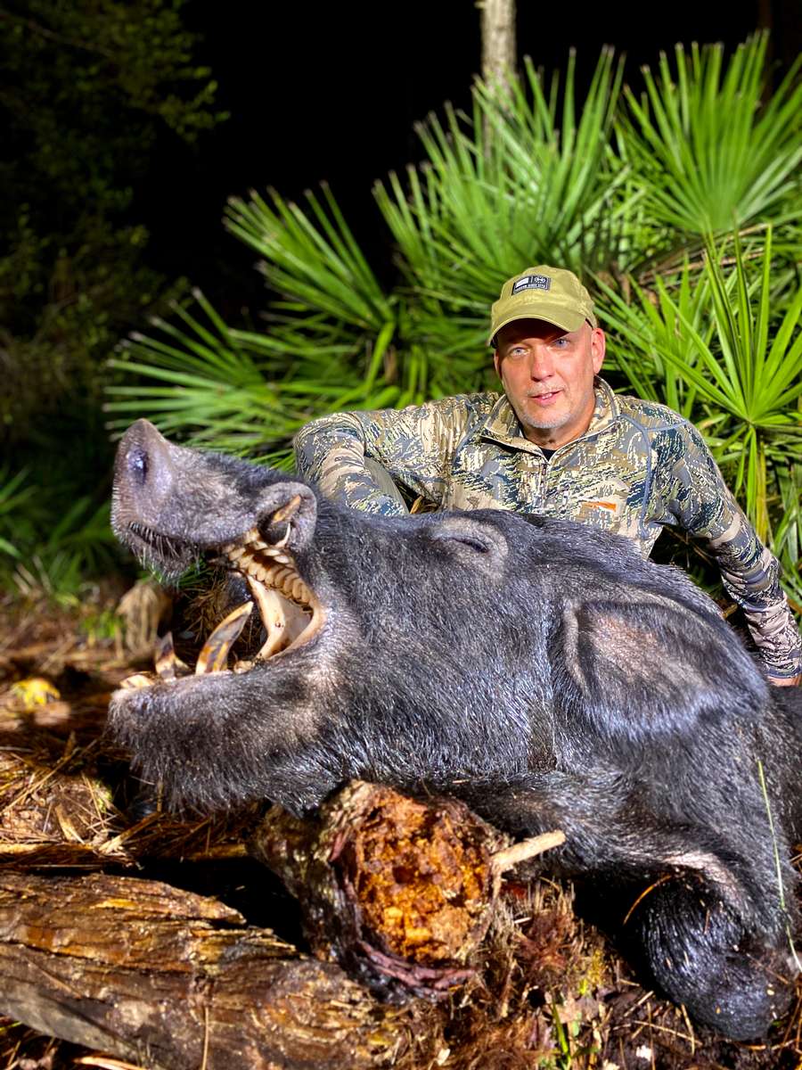 Wild Pig Hunting