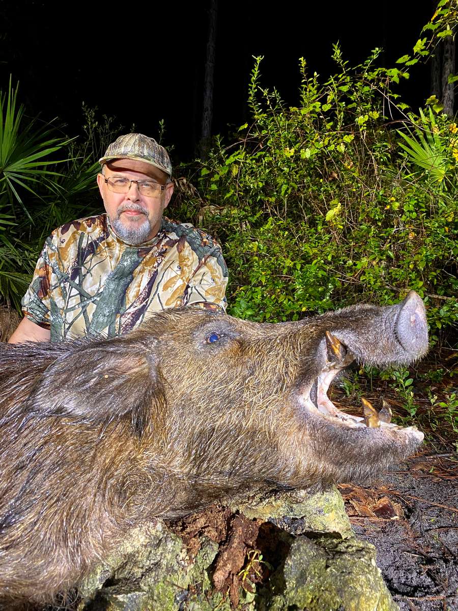 Black Tine Outfitters Wild Hog Hunting Photo Gallery