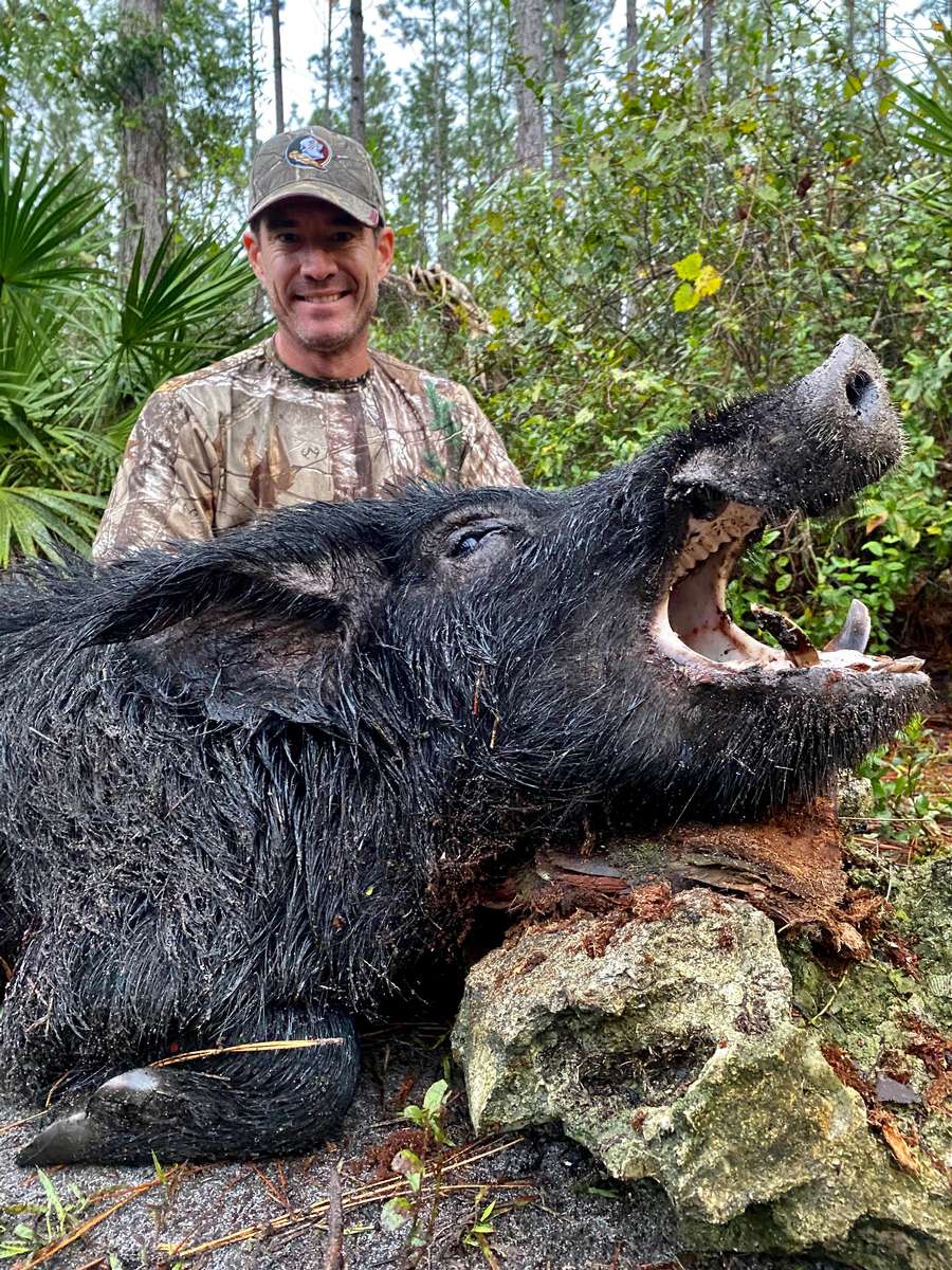 Florida Wild Hog Hunting | Black Tine Outfitters LLC